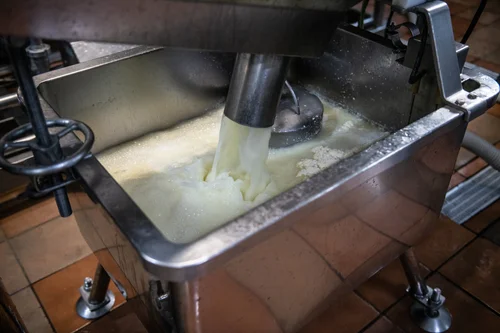 elaboración queso