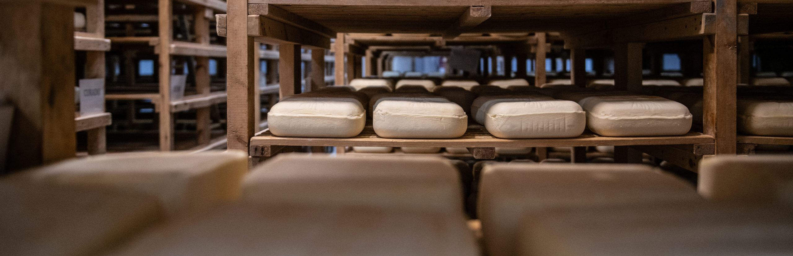 elaboración queso