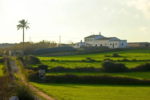 productores de leche Mahón-Menorca