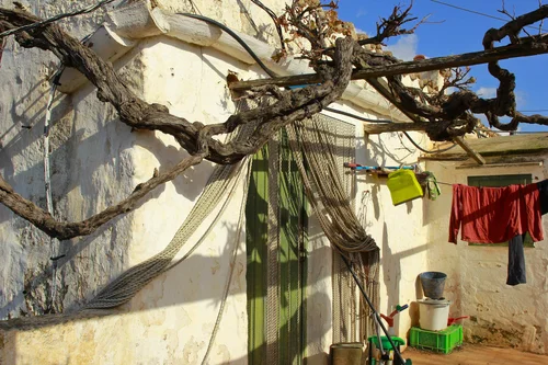 productores de leche Mahón-Menorca